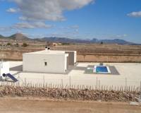 Nueva construcción  - villa - Pinoso - Camino Del Prado