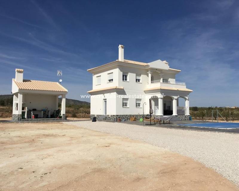 Neubau - villa - Pinoso - Camino Del Prado
