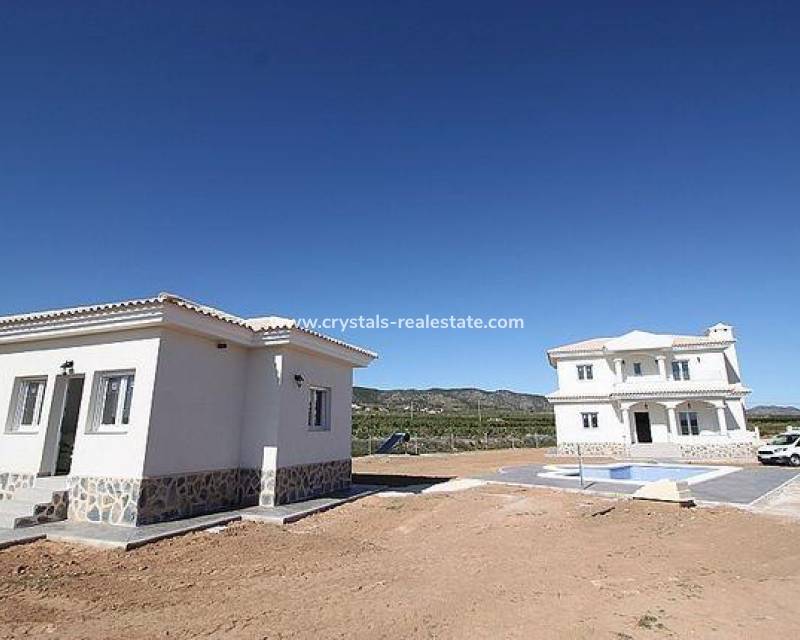 Nouvelle construction - villa - Pinoso - Camino Del Prado