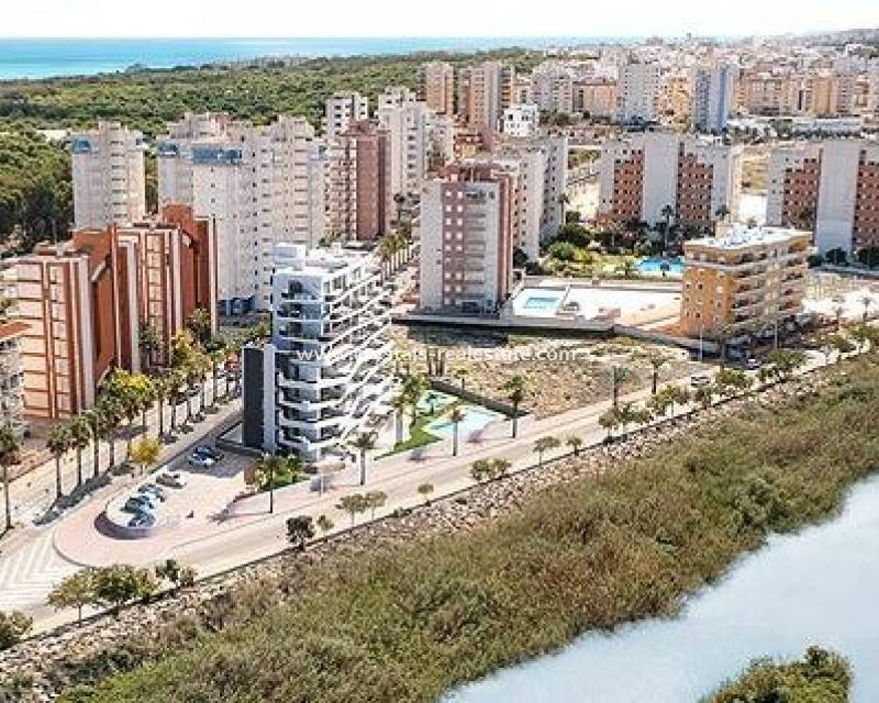 Neubau - Apartment - Guardamar del Segura - Puerto