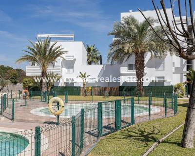 Apartment - Neubau - Vera - CPN-39304