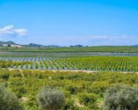 Bestaande woningen - Appartement - Algorfa - Fontana