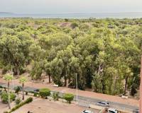 Bestaande woningen - Appartement - Guardamar del Segura