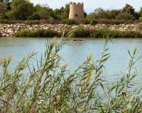 Bestaande woningen - Appartement - Guardamar del Segura