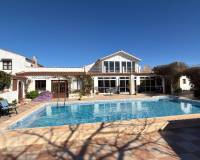 Bestaande woningen - Finca / Country Property - Rojales