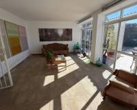 Bestaande woningen - Finca / Country Property - Rojales