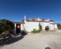 Bestaande woningen - Finca / Country Property - Rojales