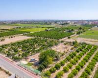 Bestaande woningen - Plot - Formentera de Segura