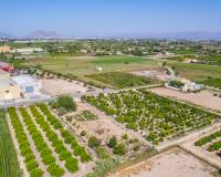 Bestaande woningen - Plot - Formentera de Segura