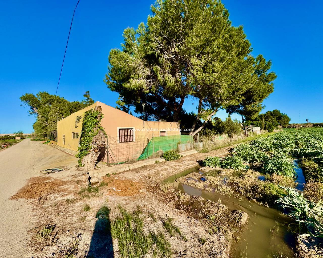 Finca / Country Property - Resale - Guardamar del Segura - Guardamar del Segura