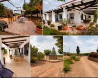 Long term Rental - Detached House / Villa - Guardamar