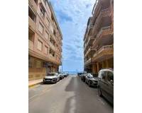 Long time Rental - Appartement - Guardamar del Segura - Guardamar Playa