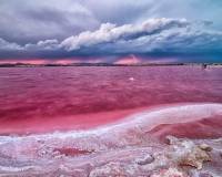 Neubau - Apartment - Torrevieja - Centro