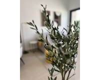 Neubau - Bungalow - San Fulgencio - Pueblo