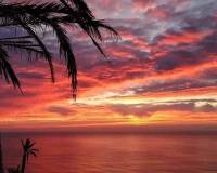 Neubau - Bungalow - Torrevieja - Altos del Sol