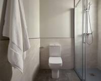 Neubau - Penthouse - Vera - El Playazo