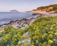 Neubau - villa - Benissa - Cala Advocat