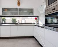 Neubau - villa - Pilar de la Horadada - pueblo