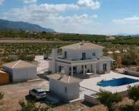 Neubau - villa - Pinoso - Camino Del Prado