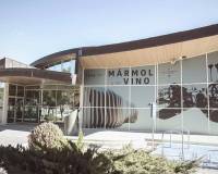 Neubau - villa - Pinoso - Campo