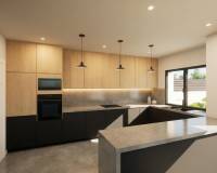 Neubau - villa - Pinoso - Casas Pastor