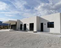 Neubau - villa - Pinoso - Casas Pastor