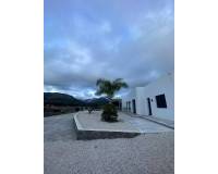 Neubau - villa - Pinoso - Casas Pastor