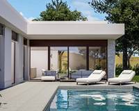 Neubau - villa - Pinoso - Lel