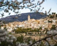 Neubau - villa - Polop - Polop Hills