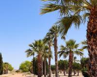 Neubau - villa - San Fulgencio - La Escuera