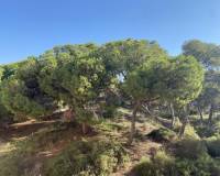 New Build - Apartment - Guardamar del Segura - Centro