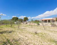 New Build - Finca / Country Property - Hondón de las Nieves