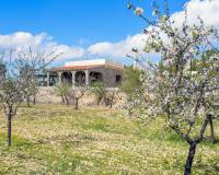New Build - Finca / Country Property - Hondón de las Nieves