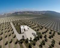 New Build - villa - Algorfa - Lomas De La Juliana