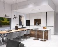 New Build - villa - Aspe - Poligono 19