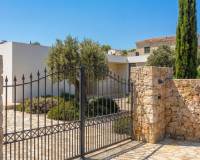 New Build - villa - Aspe - urbanizaciones