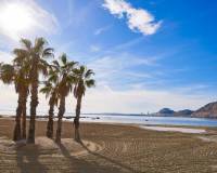 New Build - villa - Els Poblets - Marina Alta