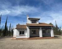 New Build - villa - Fuente Álamo - Las Palas