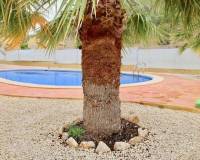 New Build - villa - La Romana - Villas de la Romana