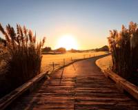 New Build - villa - Pilar de la Horadada - Lo Romero Golf