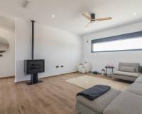 New Build - villa - Pinoso - Campo