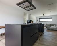 New Build - villa - Pinoso - Campo