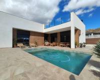 New Build - villa - Pinoso - Campo