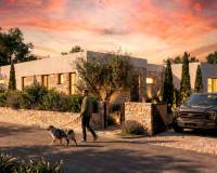 New Build - villa - Pinoso - Casas Pastor