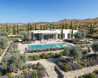 New Build - villa - Pinoso - Casas Pastor