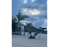 New Build - villa - Pinoso - Casas Pastor