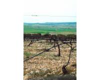 New Build - villa - Yecla