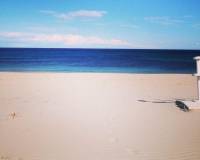 Nieuwbouw - Bungalow - Pilar de la Horadada - Parque Ramon eugenio Escudero