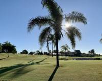 Nieuwbouw - Bungalow - San Javier - Roda Golf