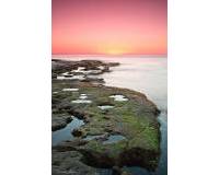 Nieuwbouw - Bungalow - Torrevieja - Altos del Sol